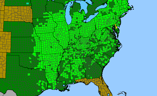 The range of Carya ovata